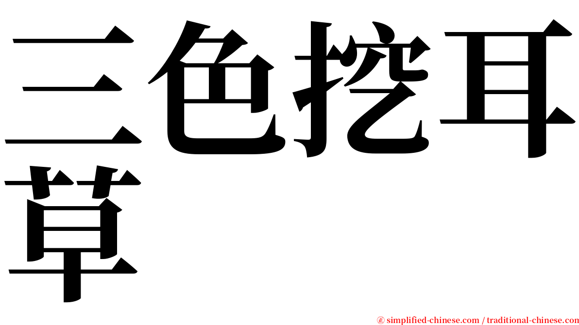 三色挖耳草 serif font
