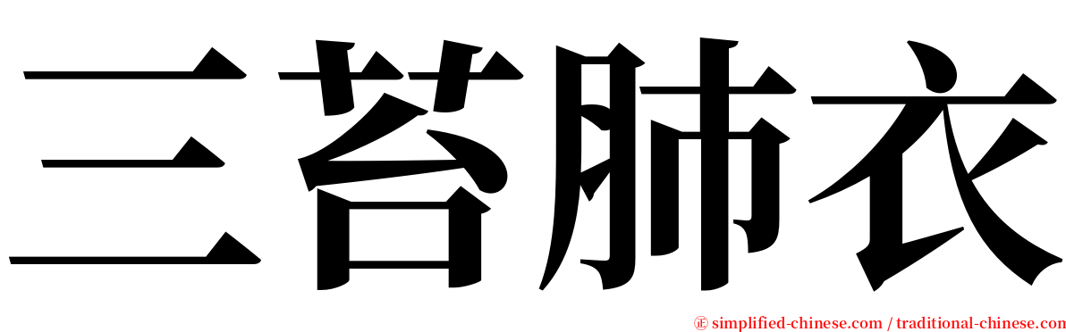 三苔肺衣 serif font