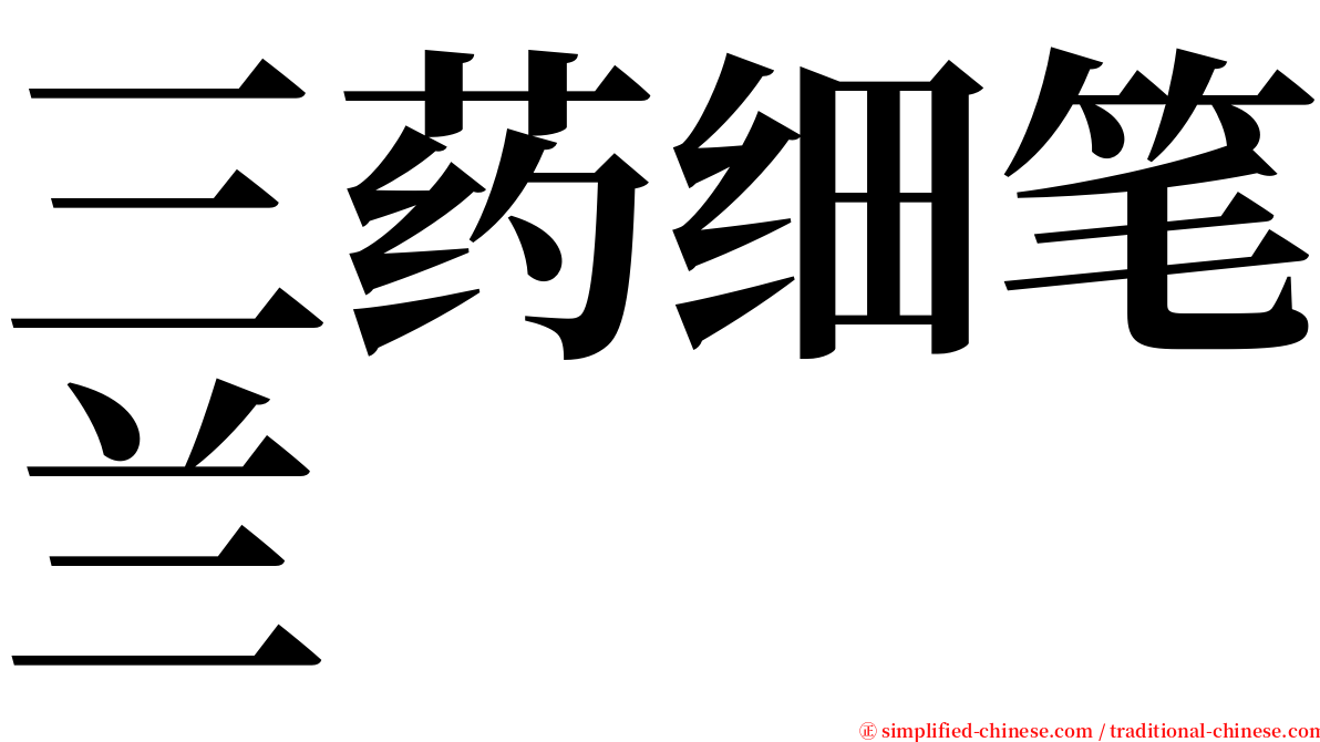 三药细笔兰 serif font