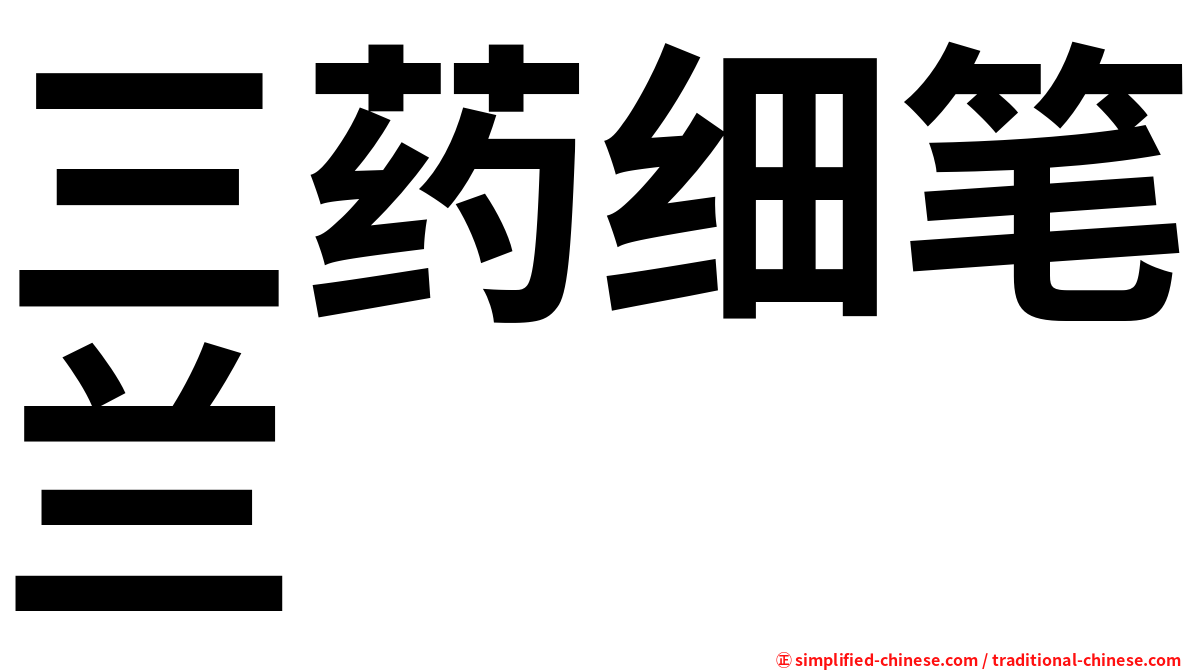三药细笔兰