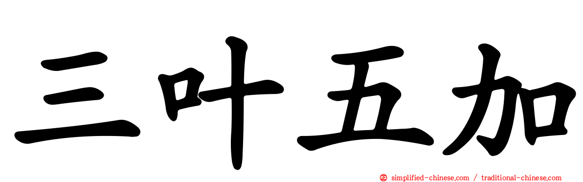 三叶五加