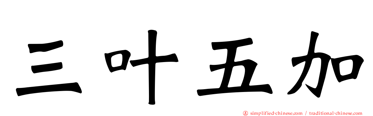 三叶五加