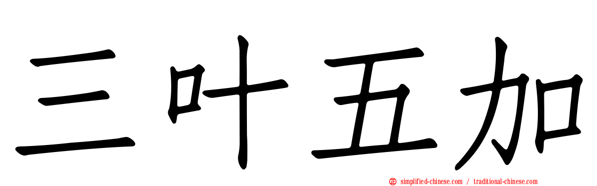 三叶五加