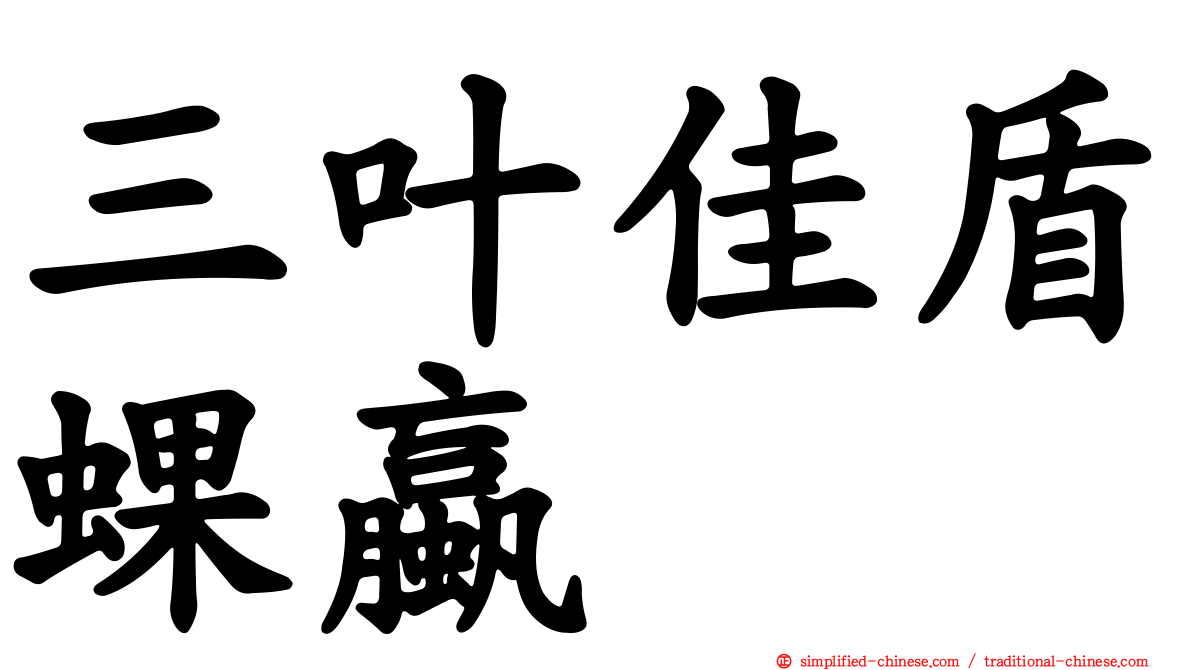 三叶佳盾蜾蠃