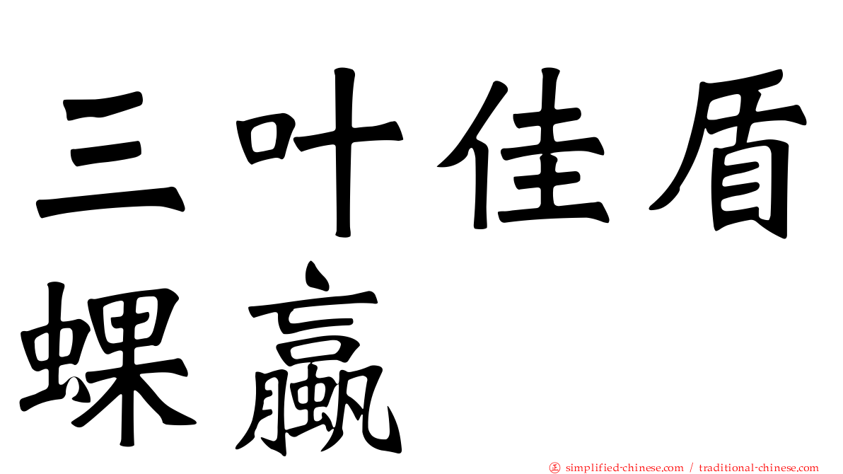 三叶佳盾蜾蠃