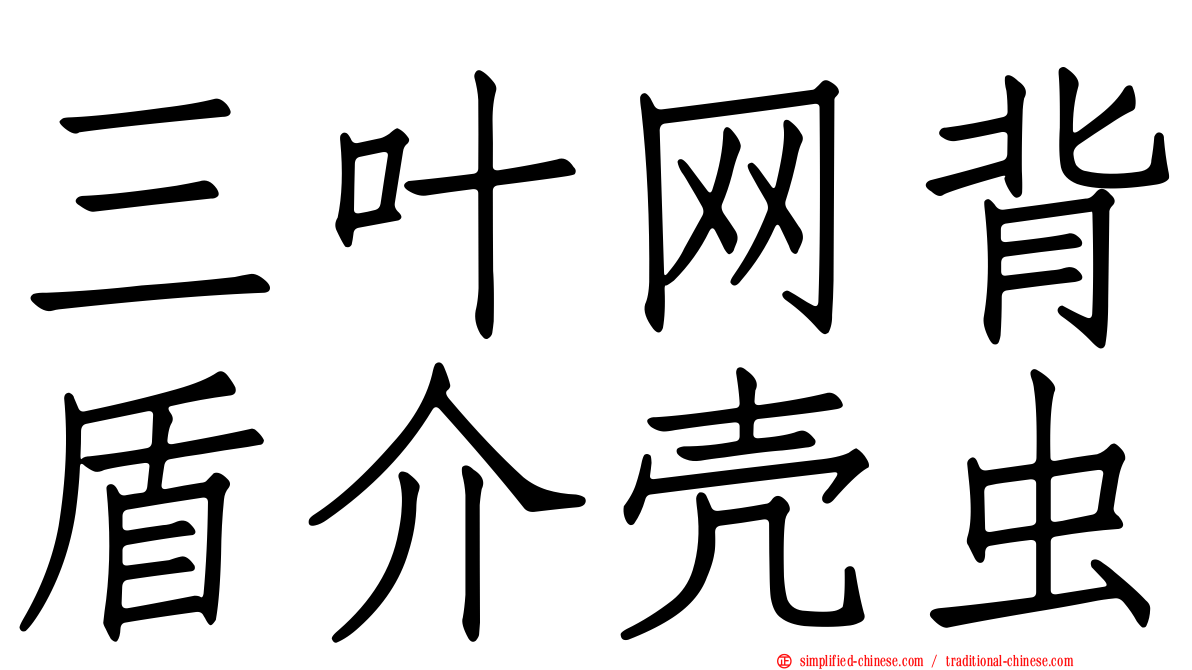 三叶网背盾介壳虫
