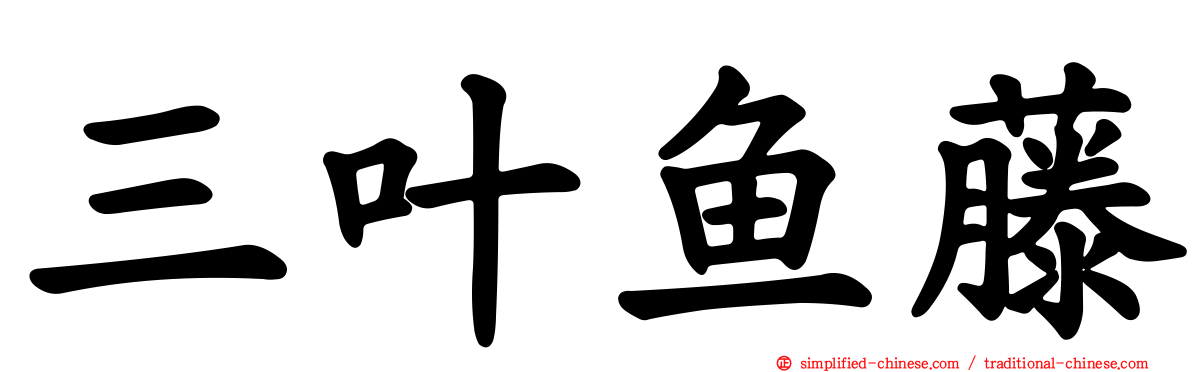 三叶鱼藤