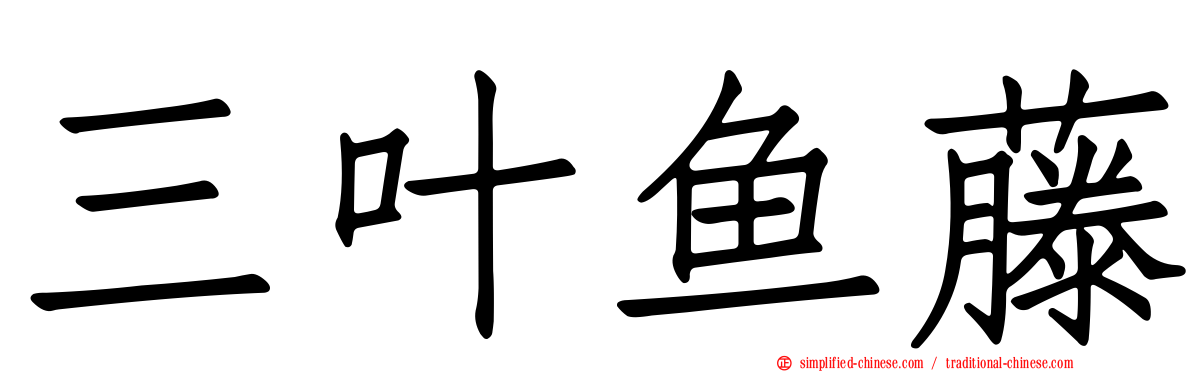 三叶鱼藤