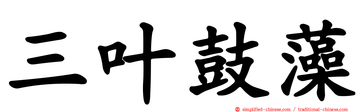 三叶鼓藻