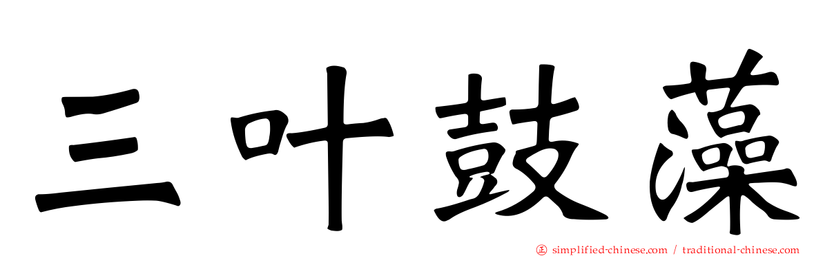 三叶鼓藻