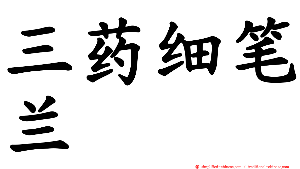 三药细笔兰