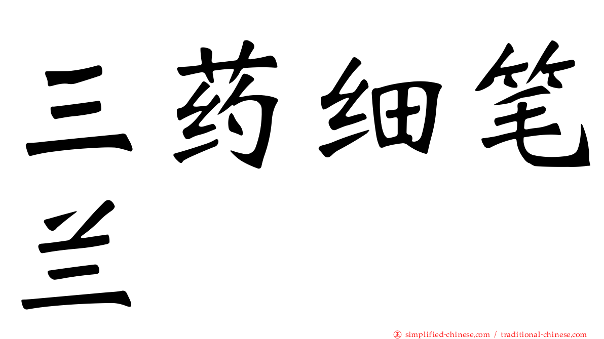 三药细笔兰