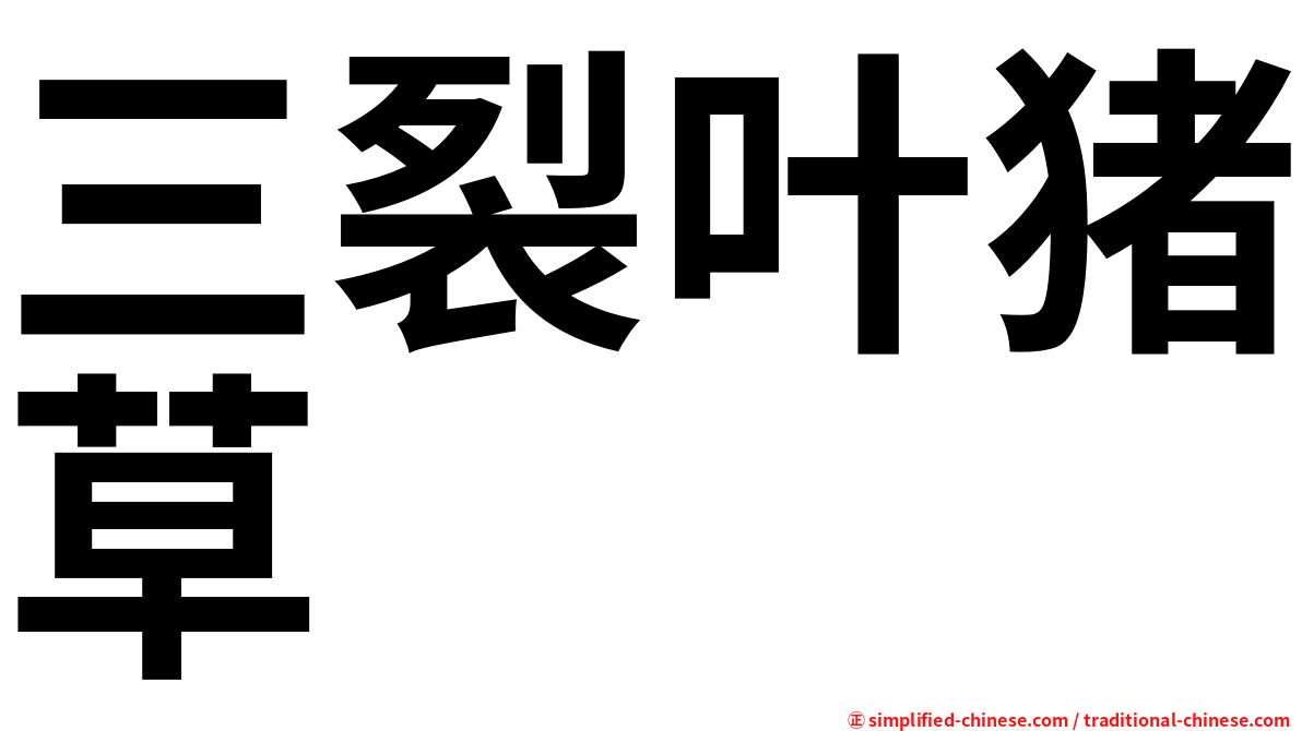 三裂叶猪草