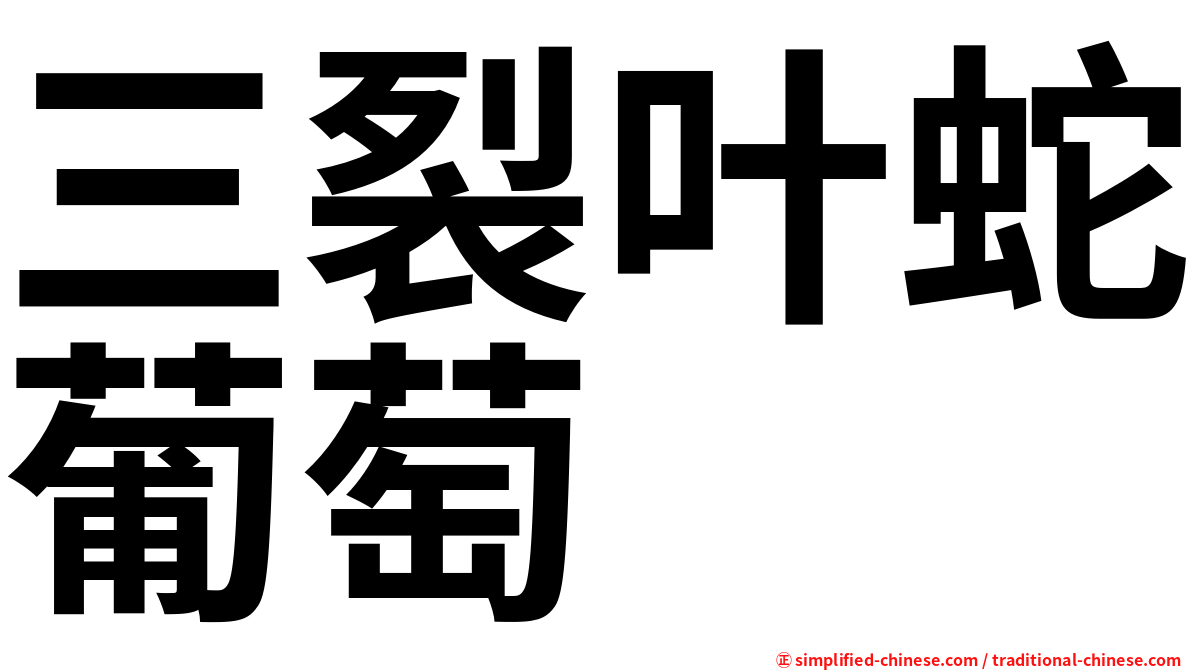 三裂叶蛇葡萄