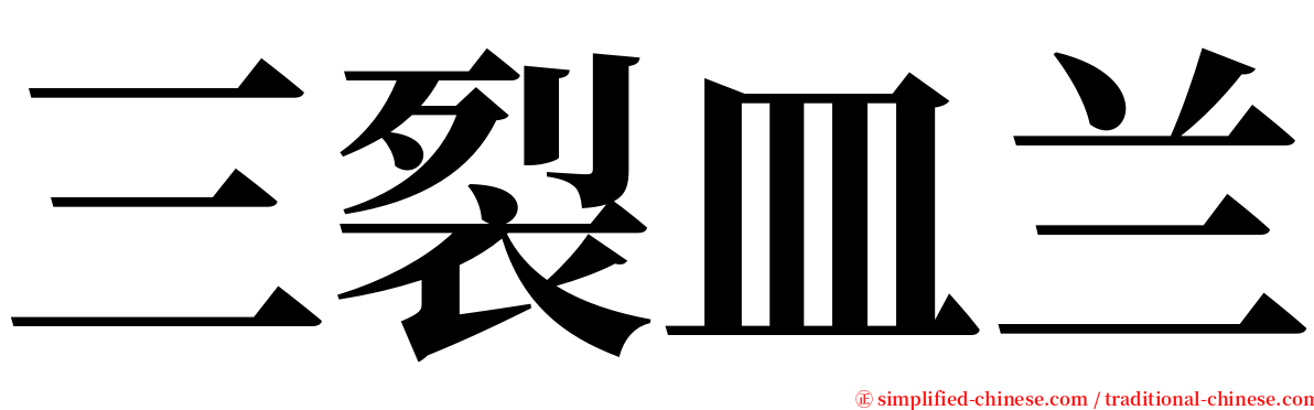 三裂皿兰 serif font