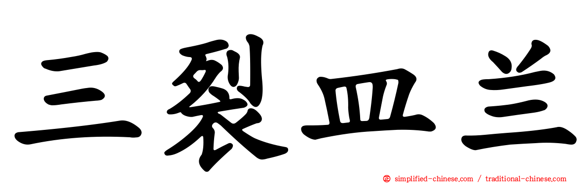 三裂皿兰