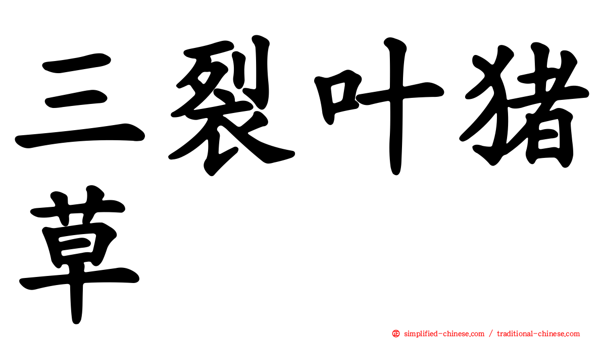 三裂叶猪草