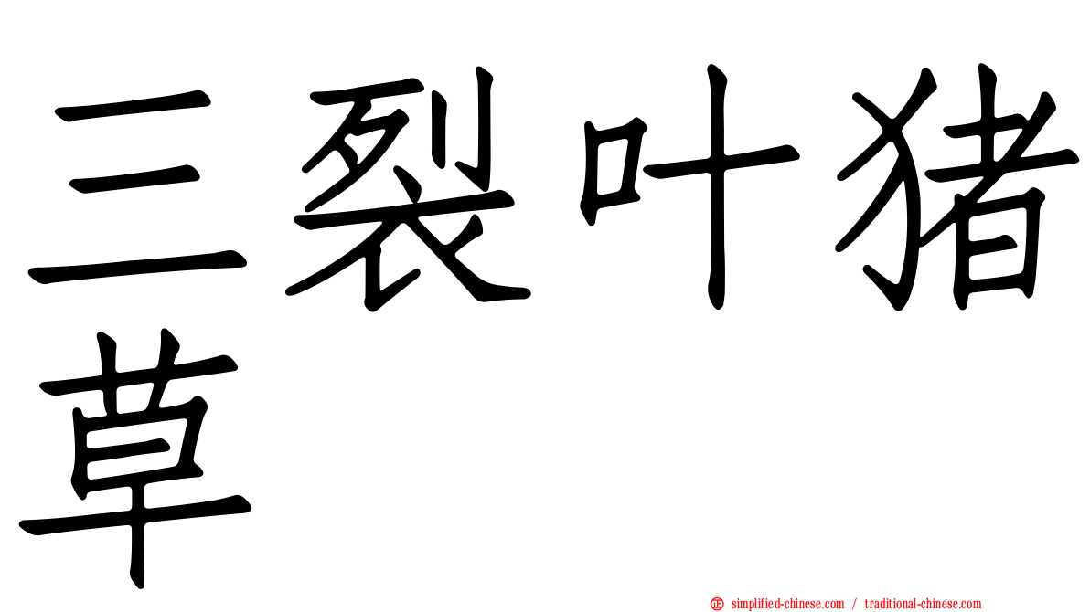 三裂叶猪草