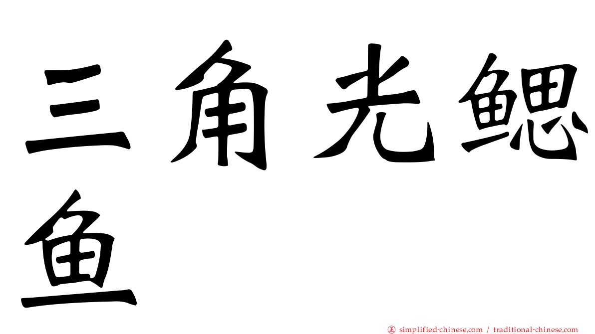 三角光鳃鱼
