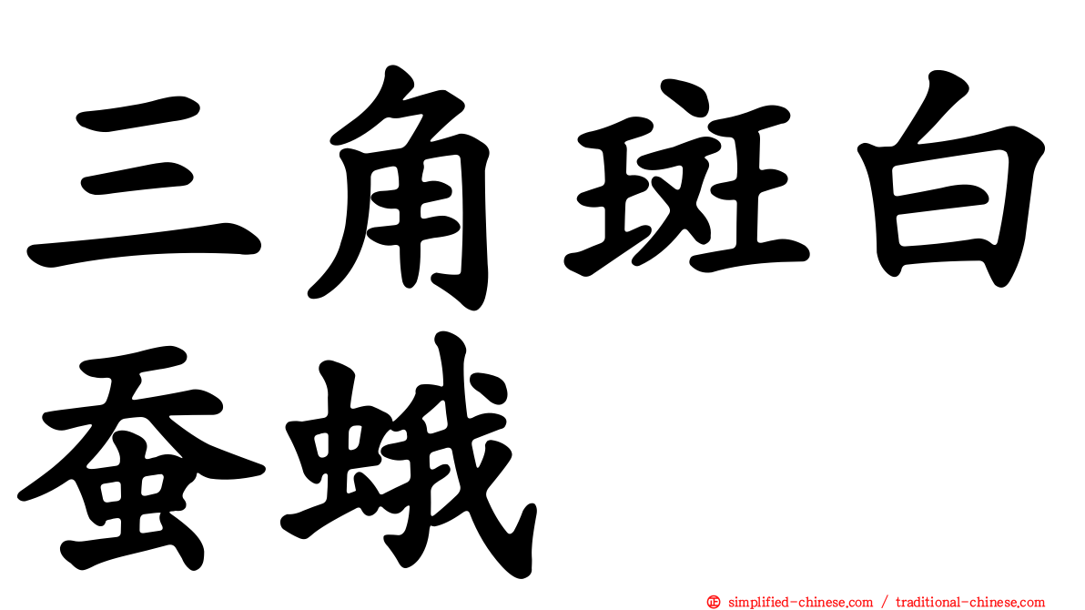 三角斑白蚕蛾