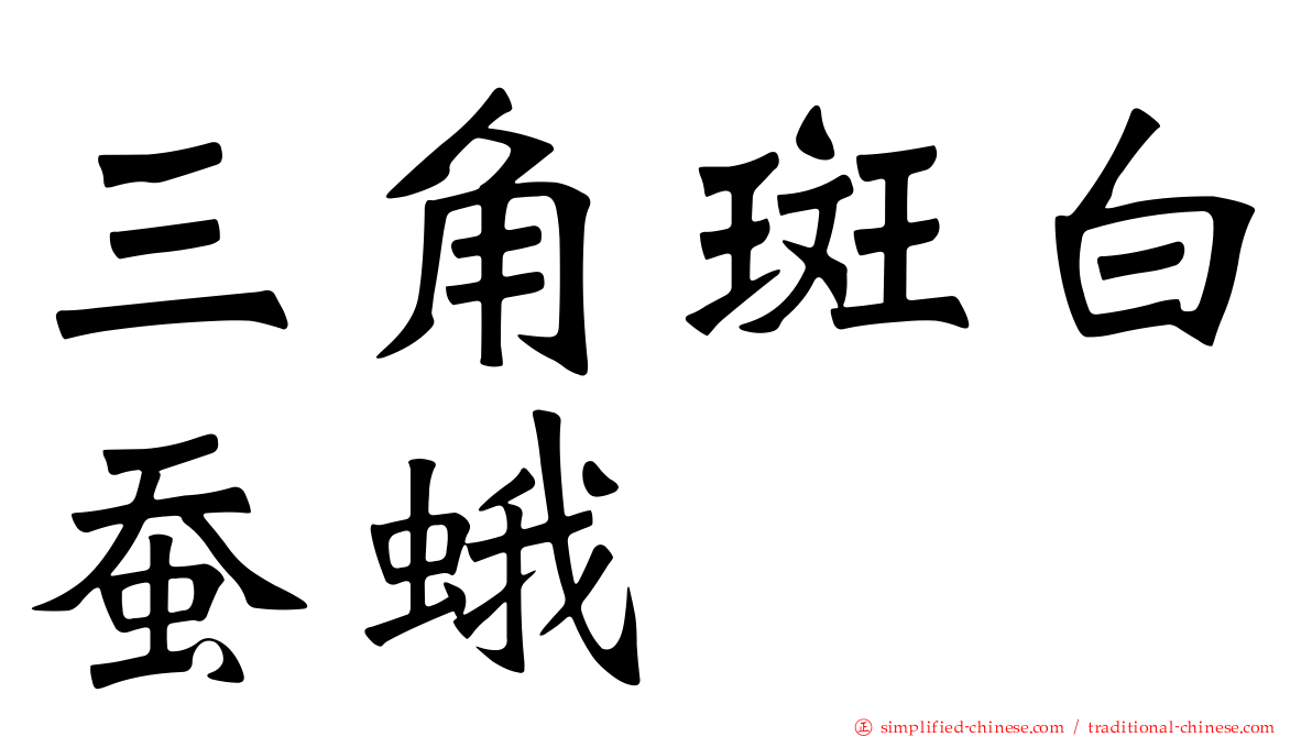 三角斑白蚕蛾