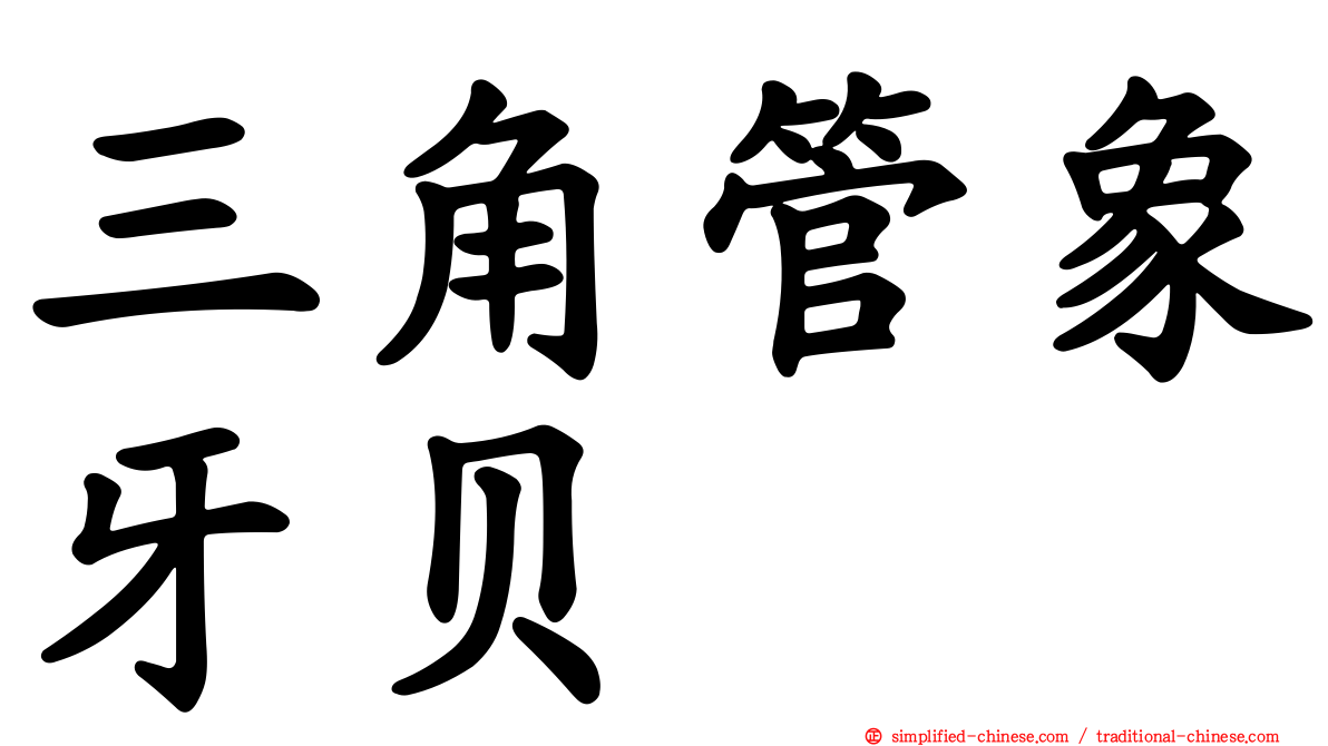 三角管象牙贝