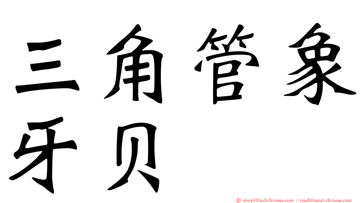 三角管象牙贝