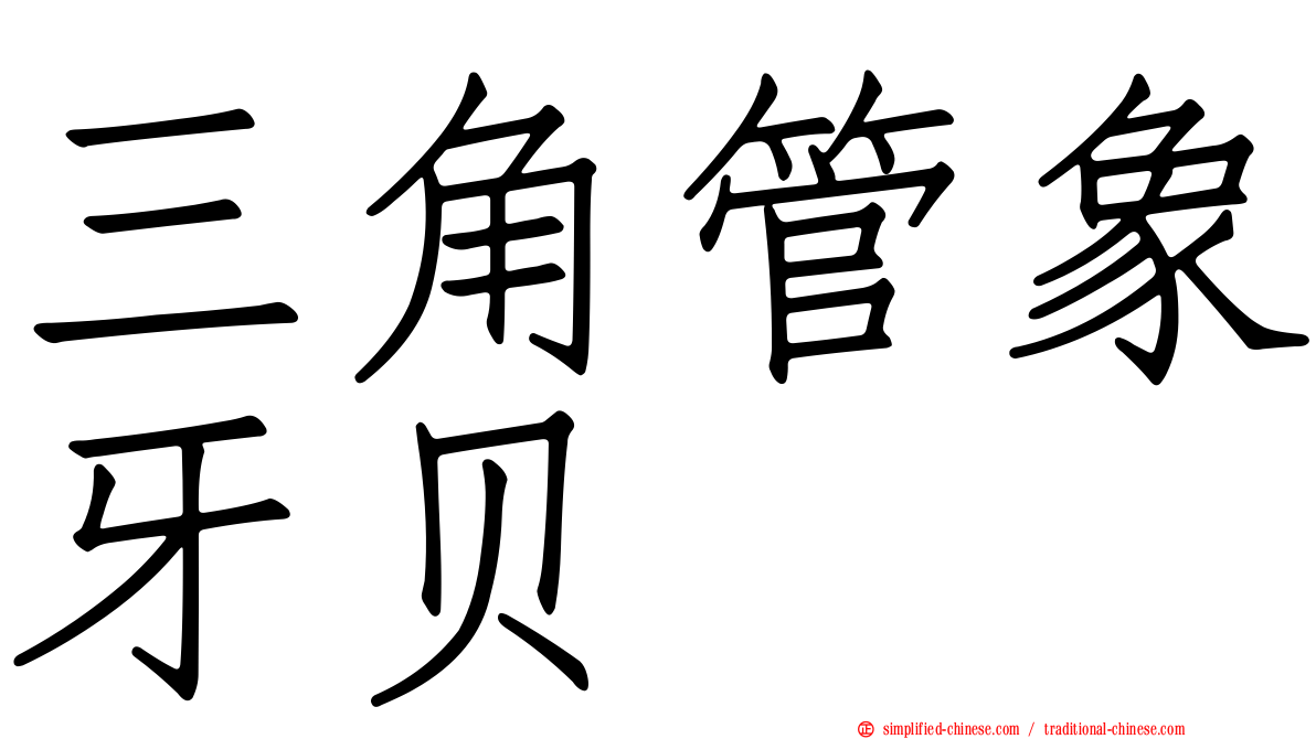 三角管象牙贝