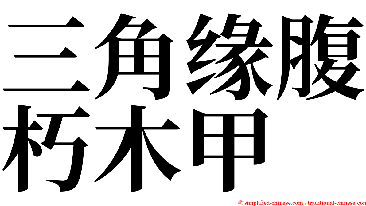 三角缘腹朽木甲 serif font