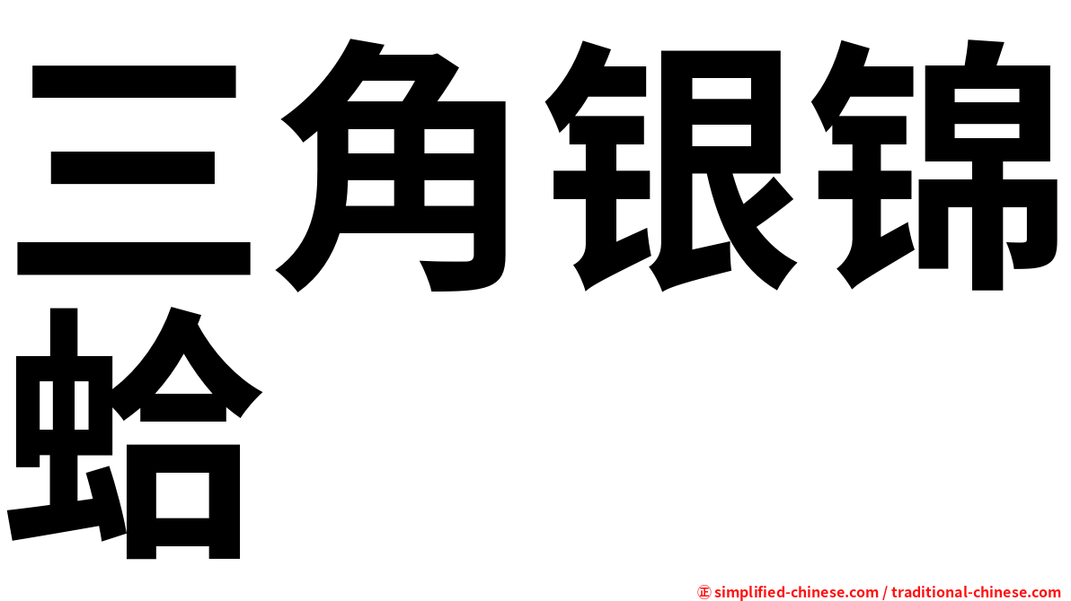 三角银锦蛤