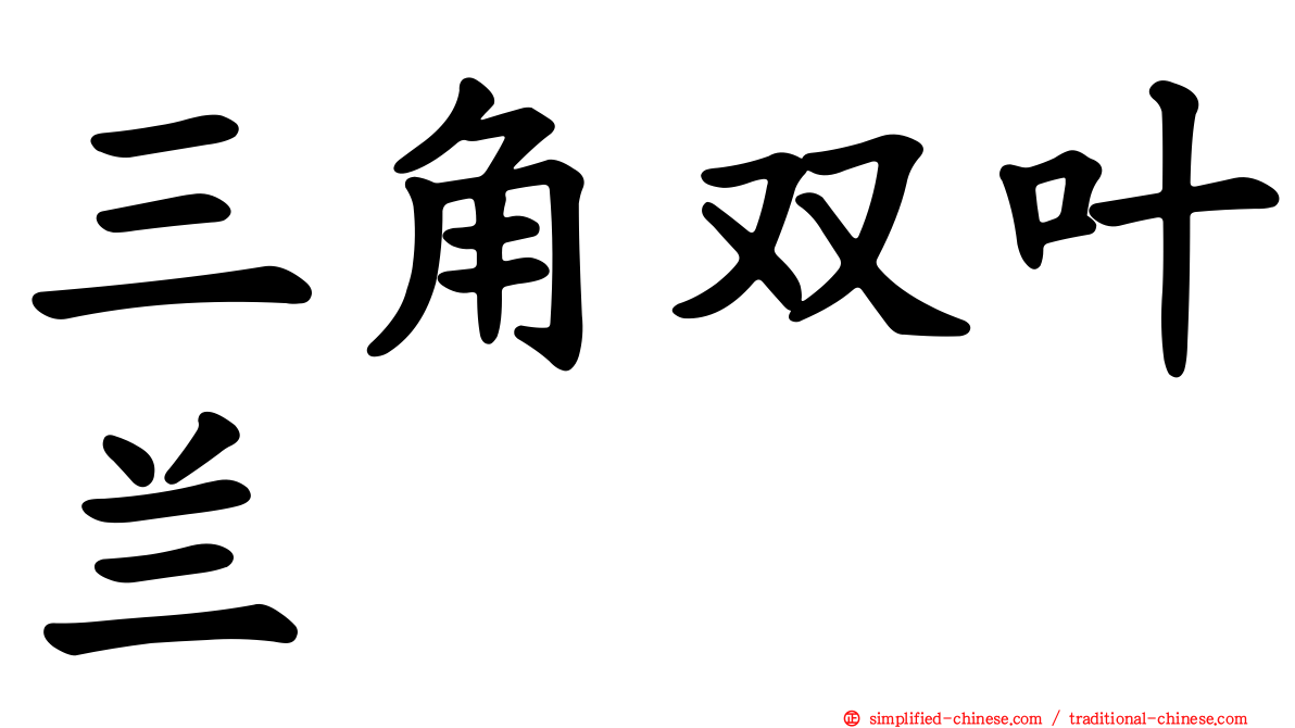 三角双叶兰