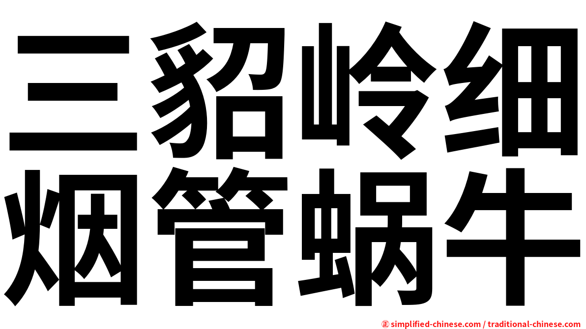 三貂岭细烟管蜗牛