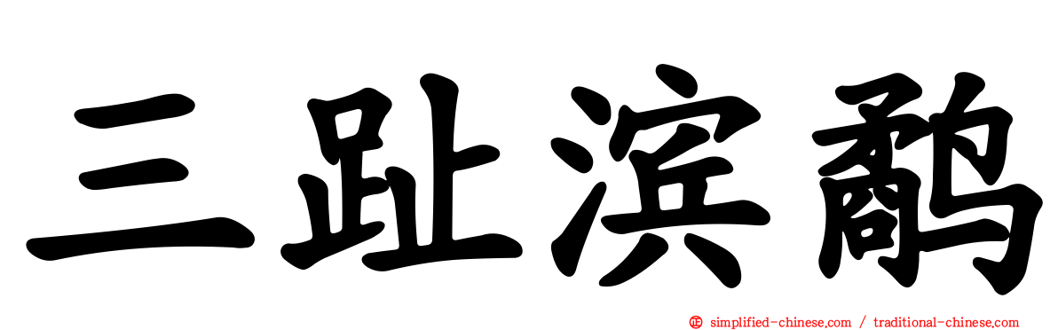 三趾滨鹬