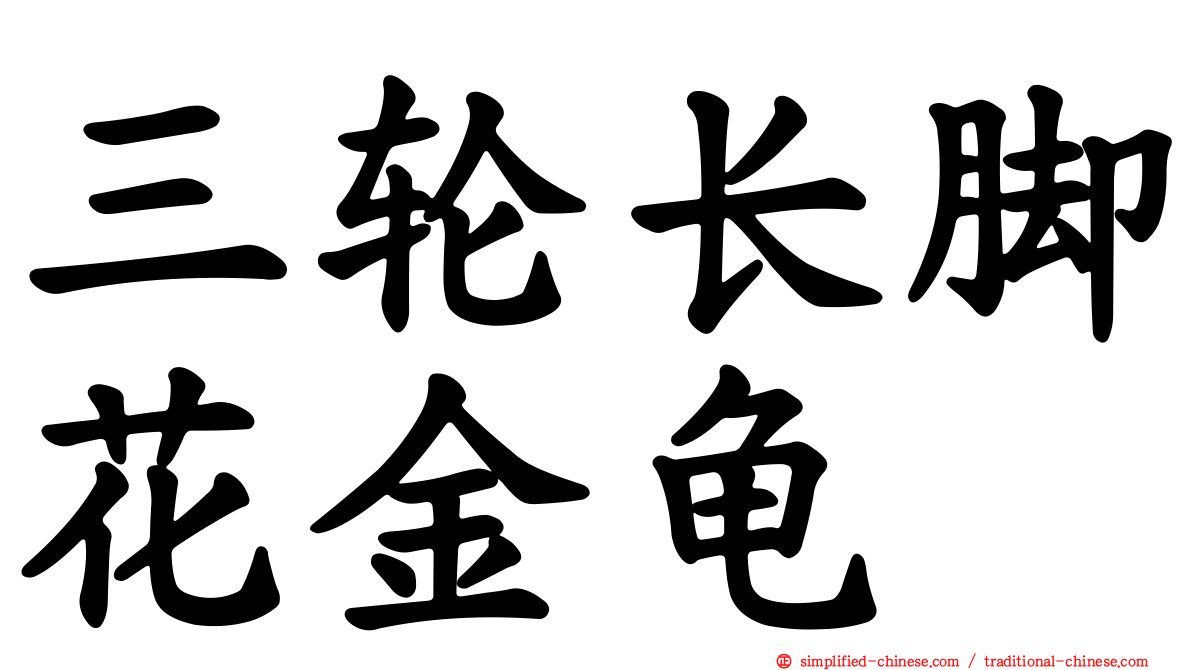 三轮长脚花金龟