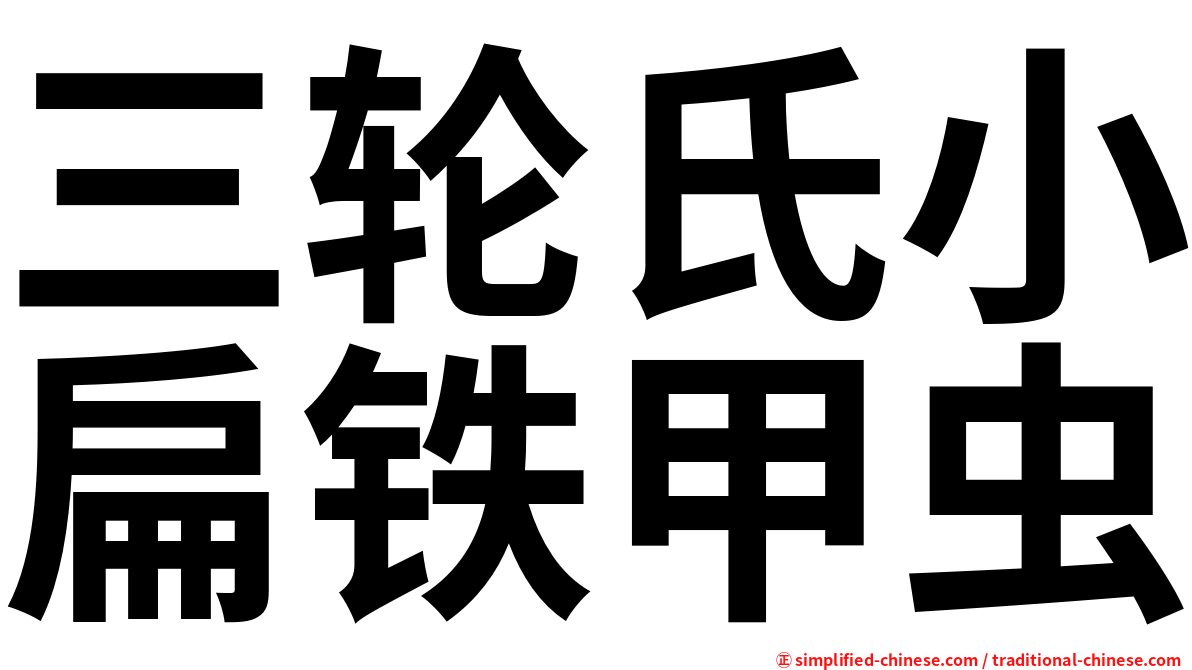 三轮氏小扁铁甲虫
