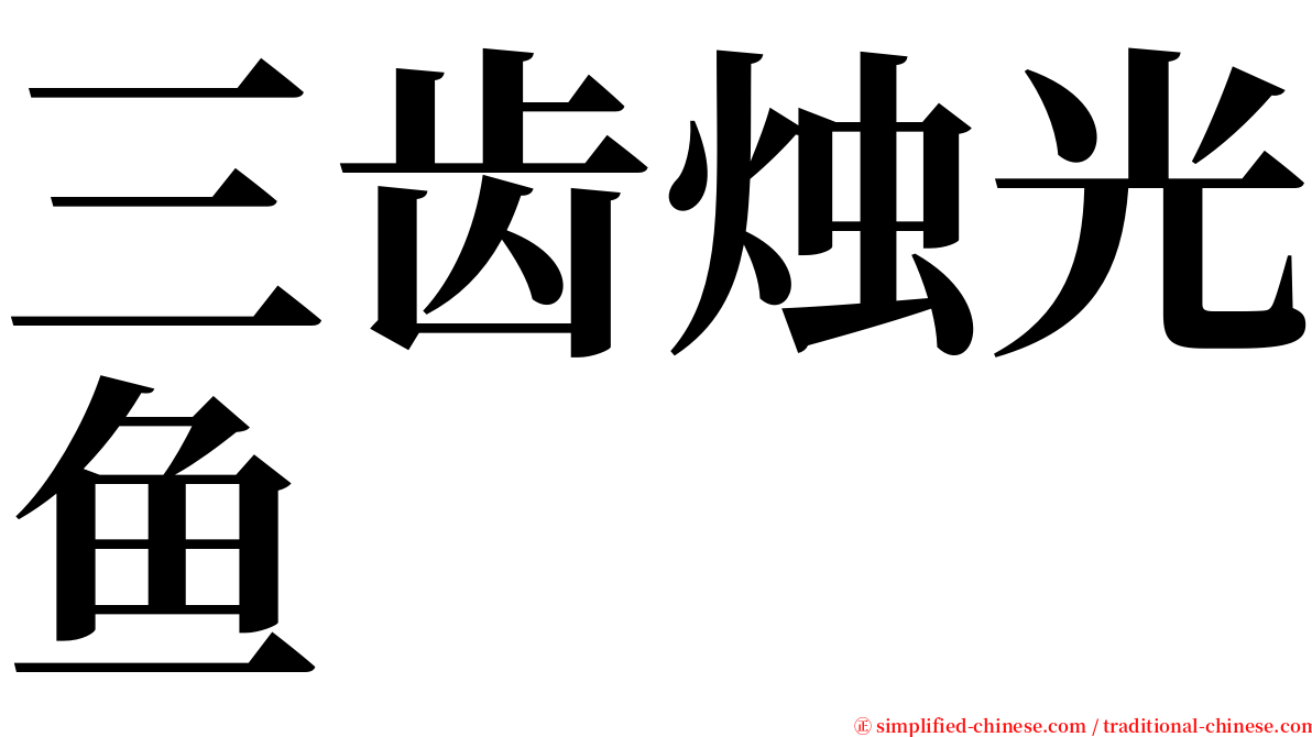 三齿烛光鱼 serif font