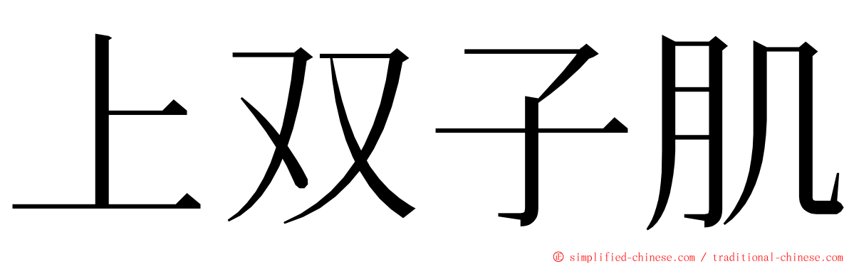 上双子肌 ming font