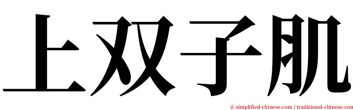 上双子肌 serif font