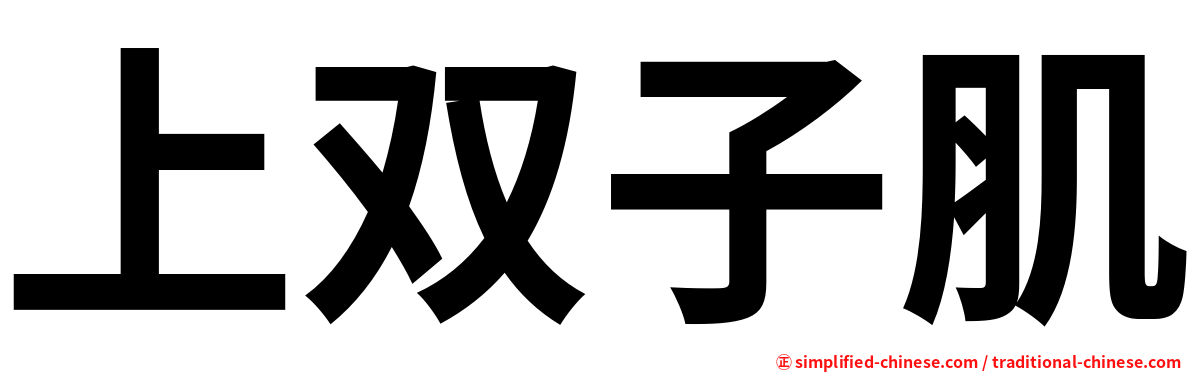 上双子肌
