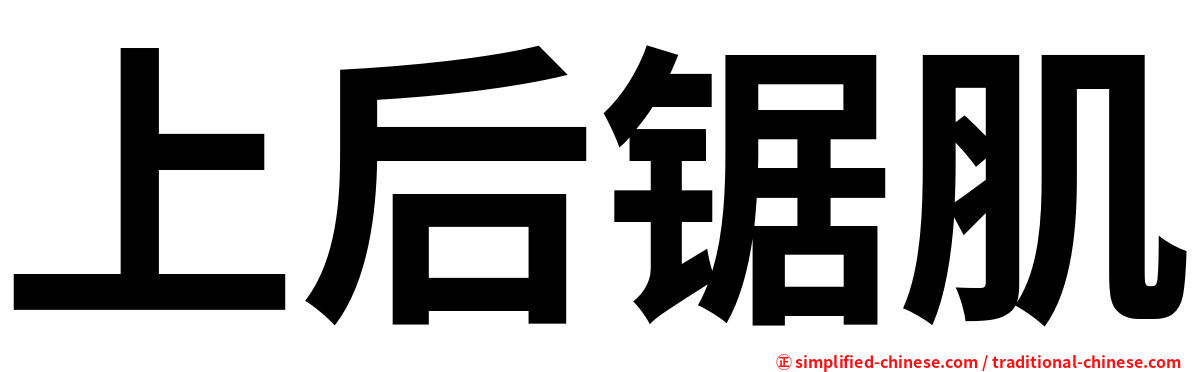 上后锯肌