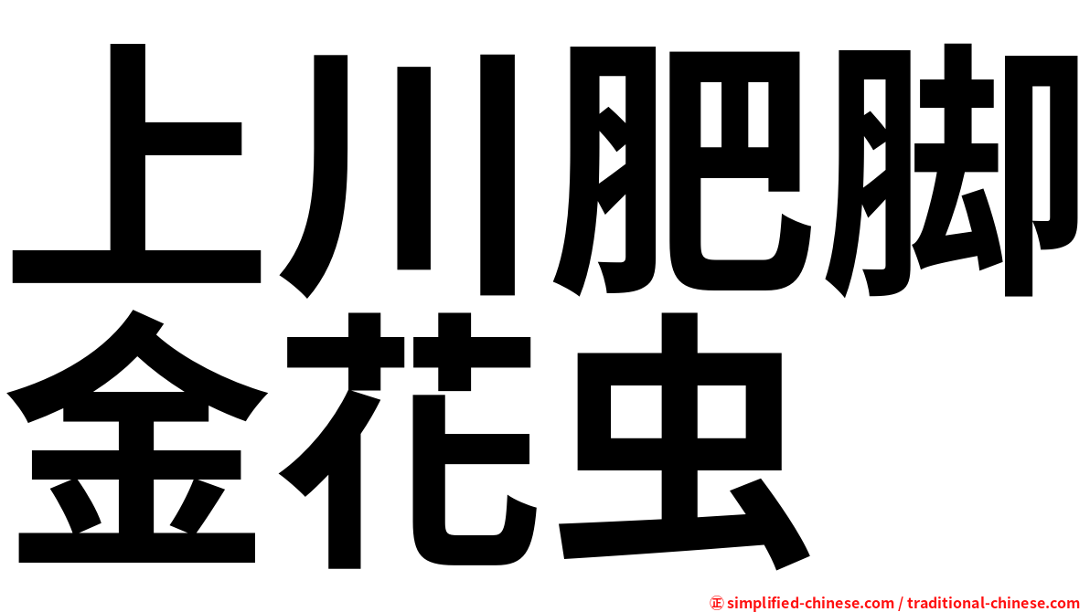 上川肥脚金花虫