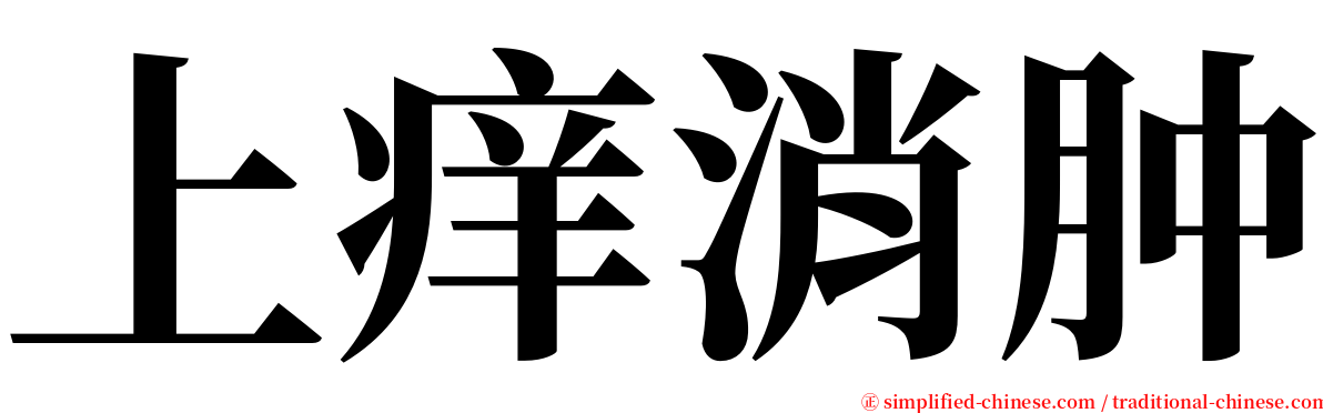 上痒消肿 serif font