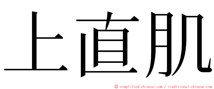 上直肌 ming font