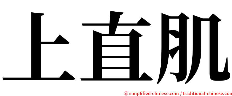 上直肌 serif font