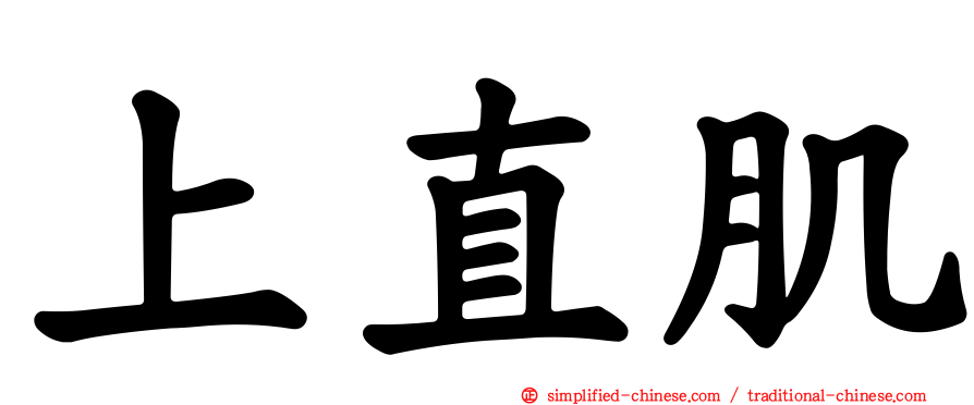 上直肌