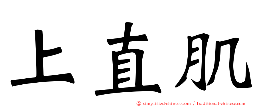 上直肌