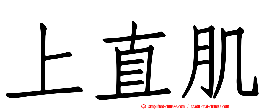 上直肌