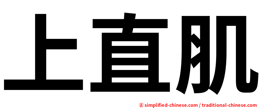上直肌