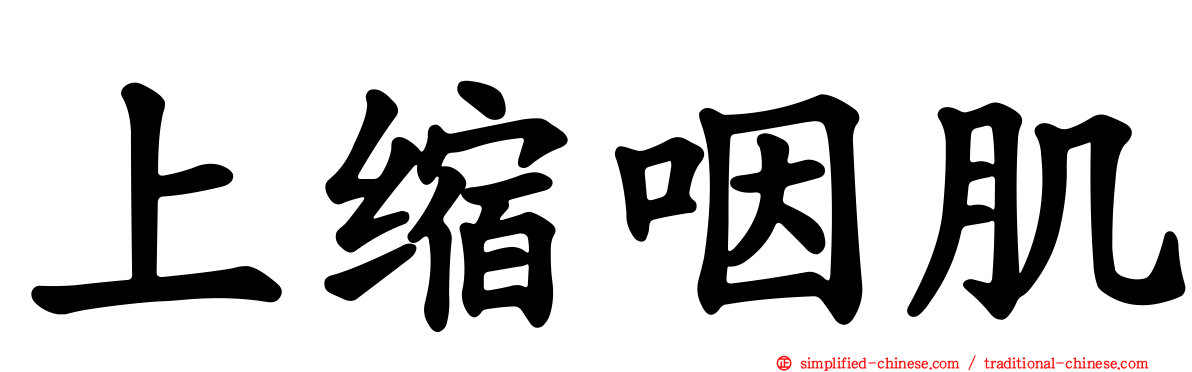 上缩咽肌
