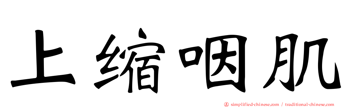 上缩咽肌